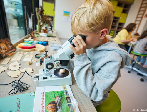Deutsche Wildtier Stiftung – Lernwerkstatt