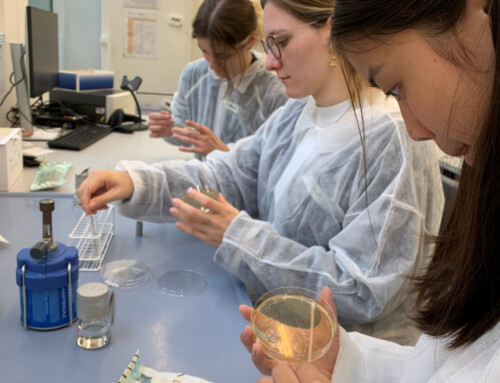 VBIO e.V. – Bakterien-Summerschool