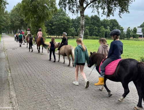 SOS-Kinderdorf e.V. – Therapeutisches Reiten