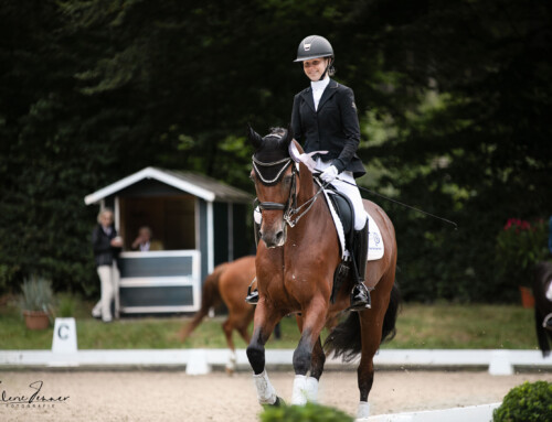 RFS Sieversen e.V. – Schulpferde